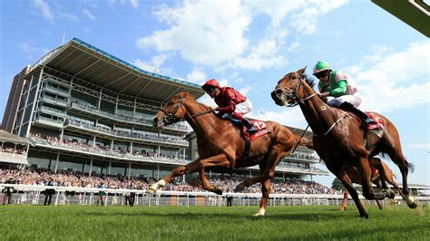 York Race Results Today: Fast + Full Results .